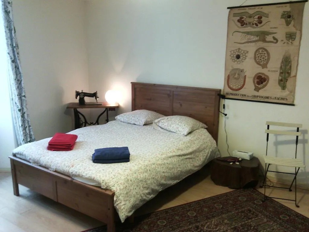 Au Chat Ronfleur Bagneres-de-Bigorre Bed & Breakfast
